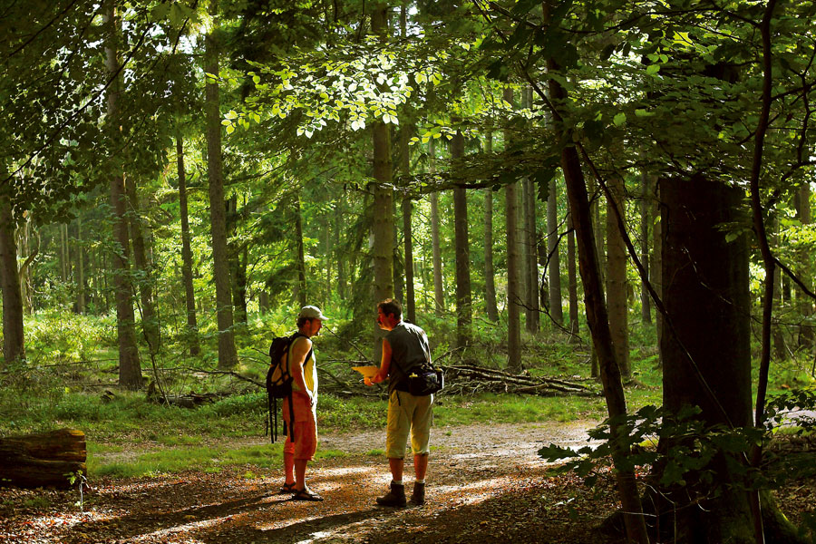 Home rijk van nijmegen wandelaars groesbeekse bos